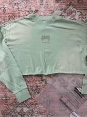 Darc Sport Oversized Premium Cropped LS Green Long-Sleeve Women's Top in Mint